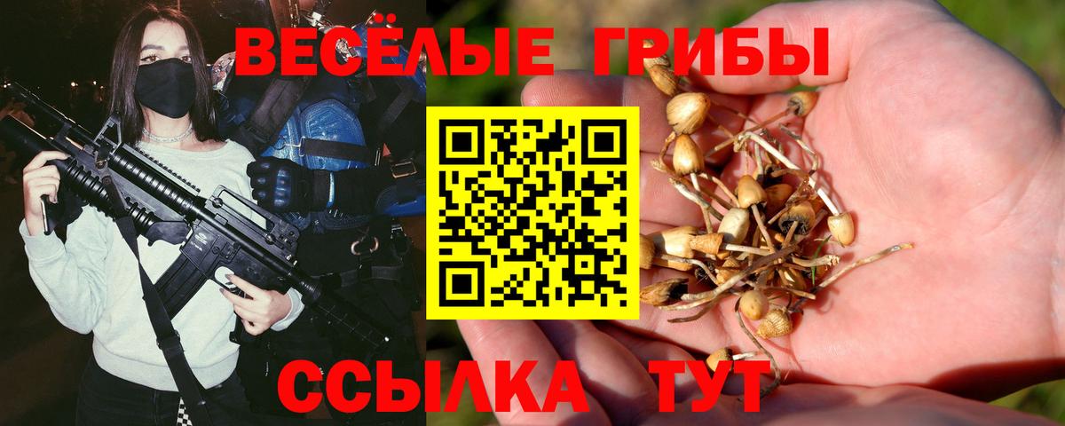 Псилоцибиновые грибы Psilocybine cubensis Сланцы