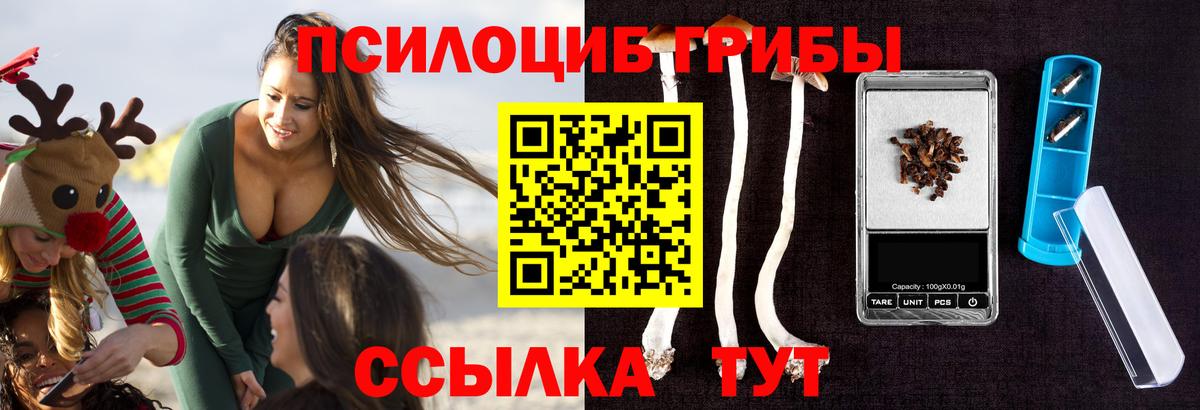 Псилоцибиновые грибы мицелий  Галлюциногенные грибы GOLDEN TEACHER  Вход с VPN  Сланцы 